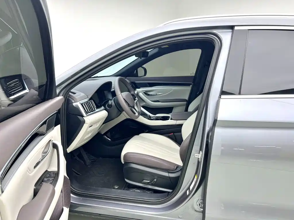 BYD Song PLUS New Energy 2025 — фото 10
