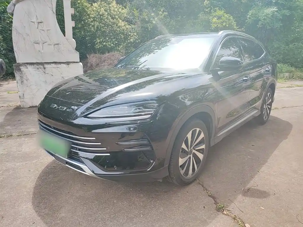 BYD PLUS New Energy 2024 — фото 2