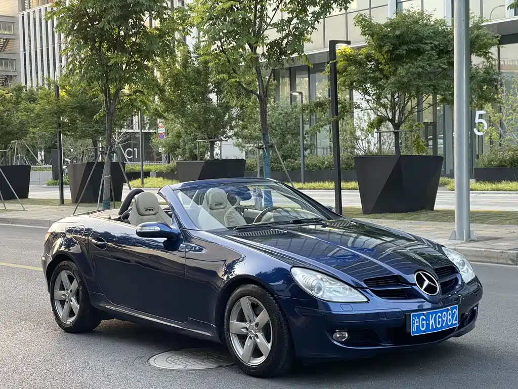 Mercedes-Benz SLK-Class 2007 — фото 11