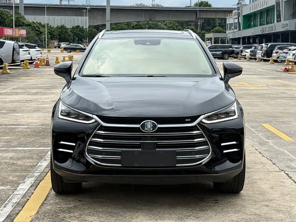 BYD Tang New Energy 2019 — фото 2