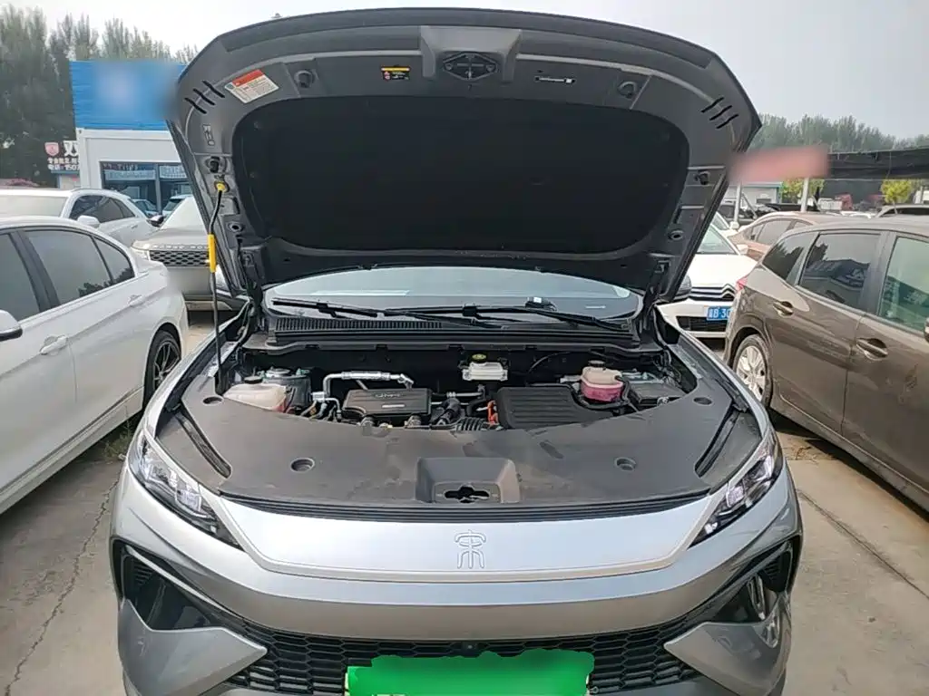 BYD Song Pro New Energy 2024 — фото 20
