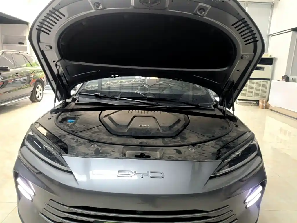 BYD Song PLUS New Energy 2024 — фото 20