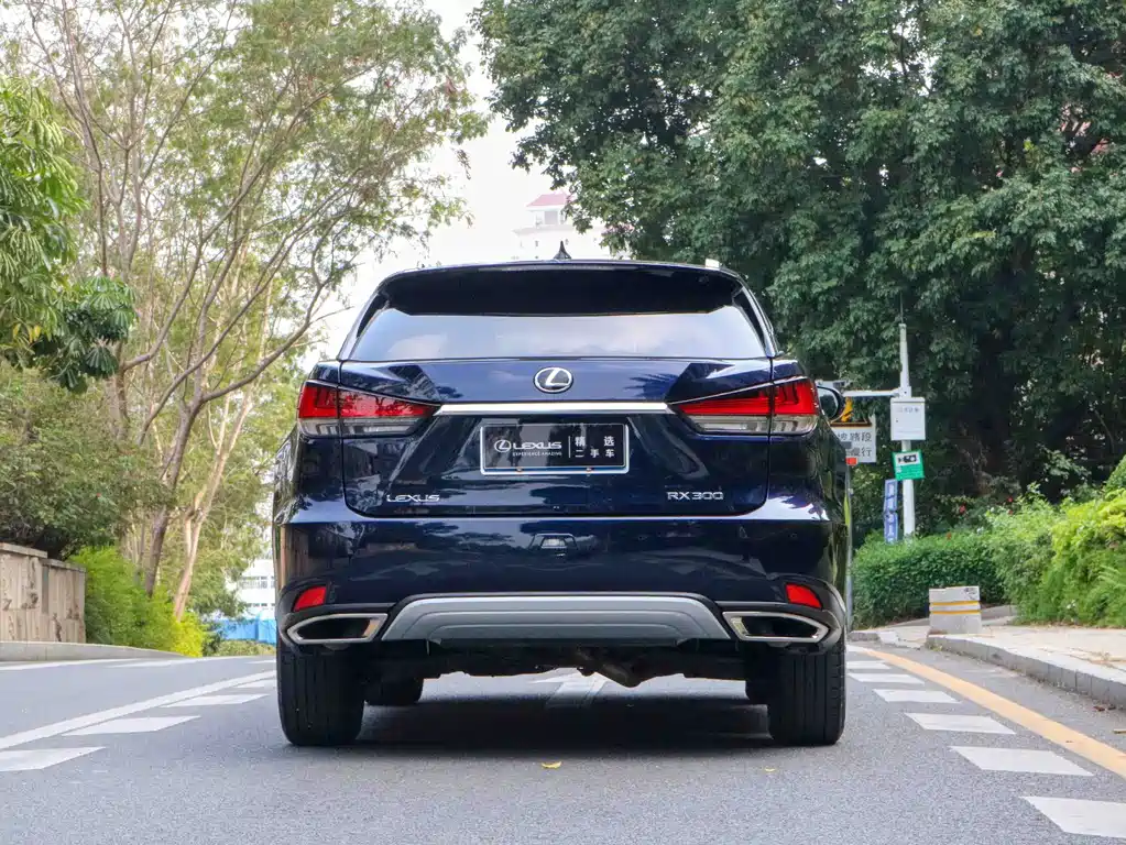 Lexus RX 2022 — фото 11