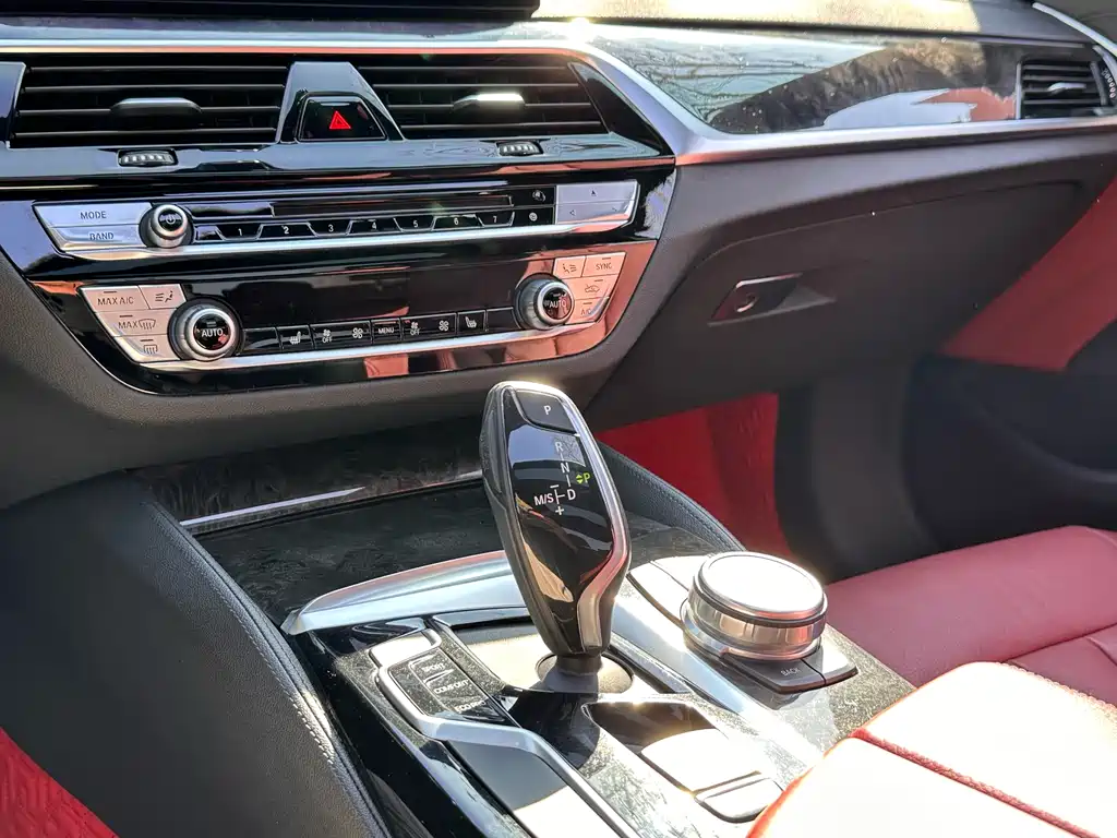 BMW 5 Series 2019 — фото 16
