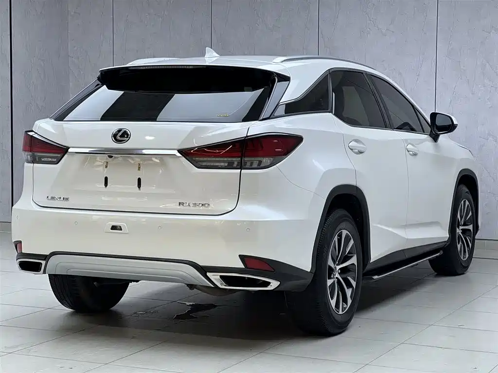 Lexus RX 2020 — фото 11
