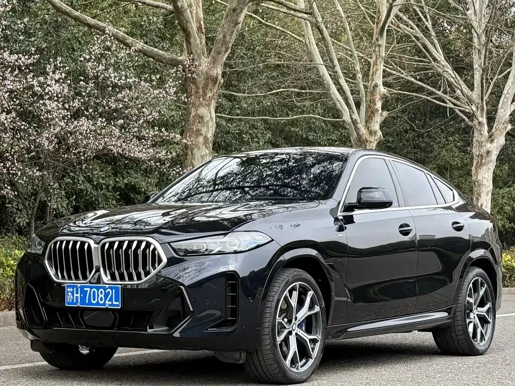 BMW X6 2025 — фото 1