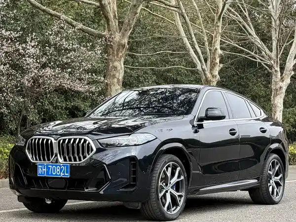 BMW X6 2023