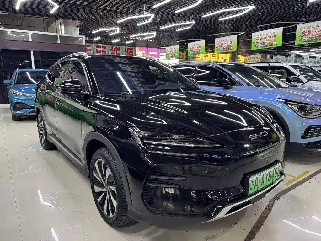 BYD PLUS New Energy 2024 — фото 3