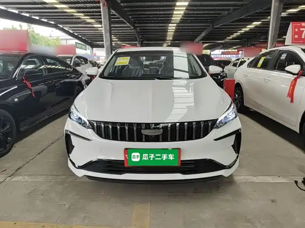 Geely Binrui 2024