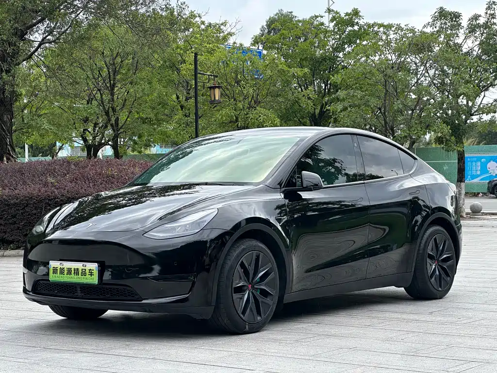 Tesla Model Y 2021 — фото 1