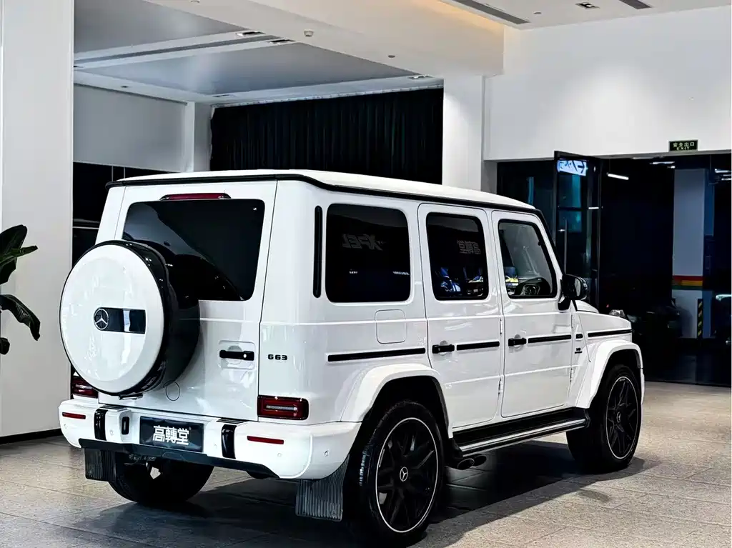 Mercedes-Benz G-Class 2023 — фото 8