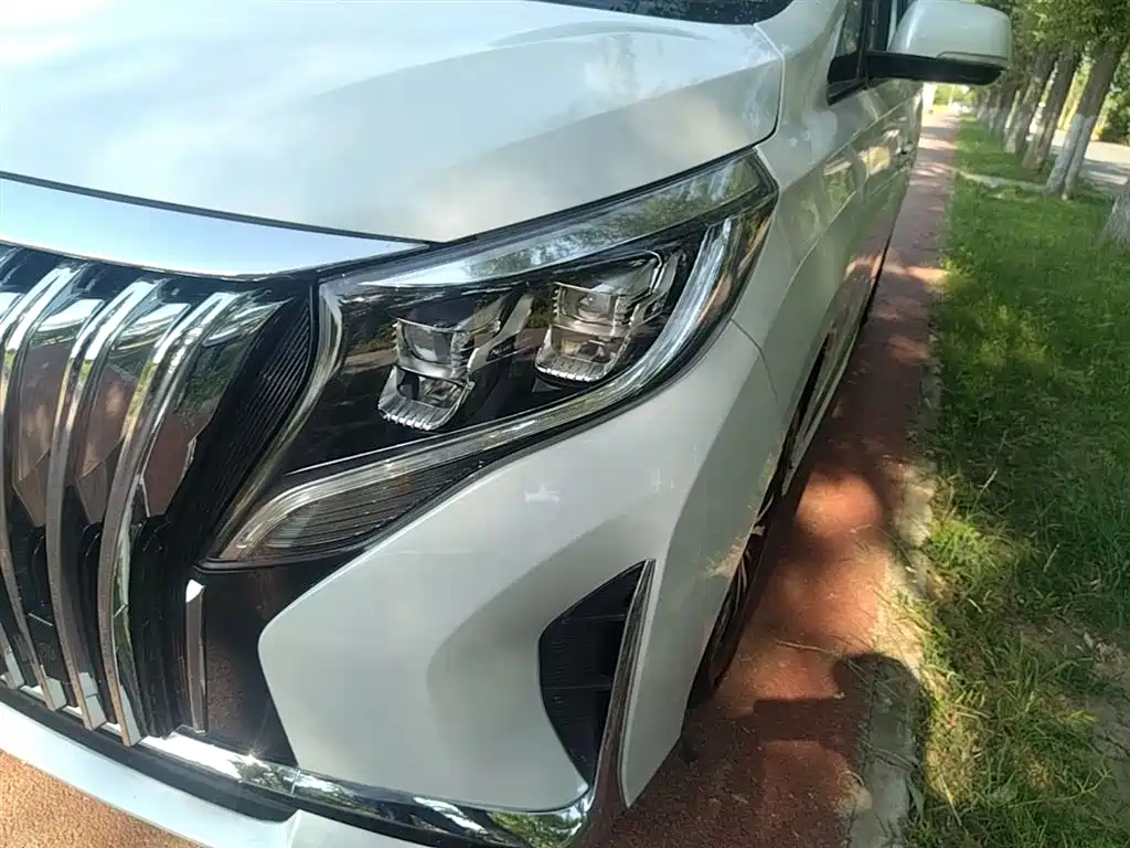 GAC Motor Trumpchi M8 2023 — фото 24