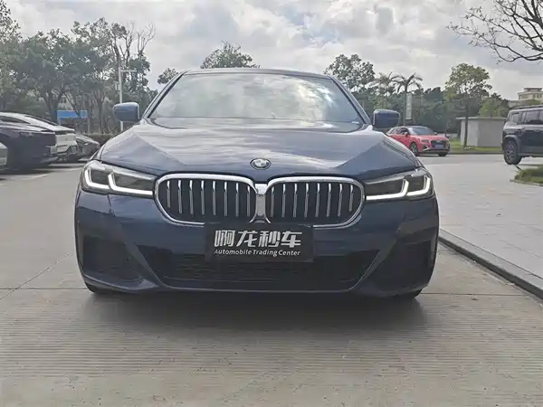 BMW 5 Series 2021