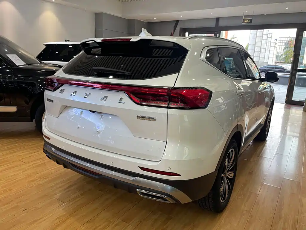 Haval H6 2023 — фото 11