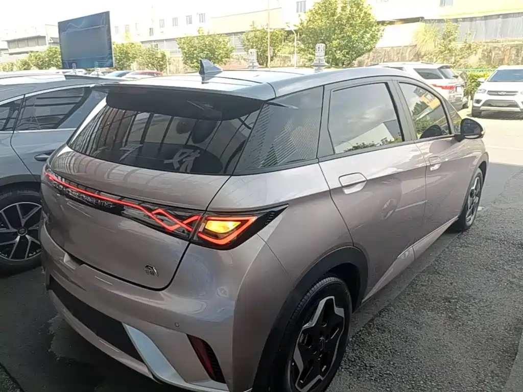 BYD Dolphin 2022