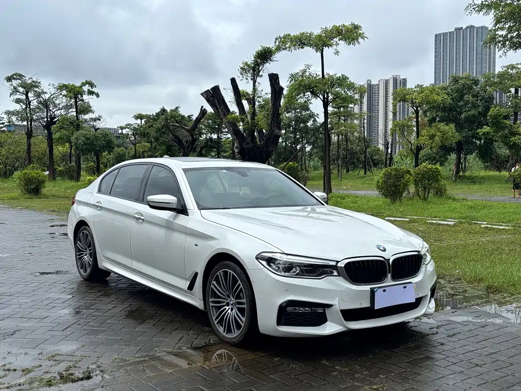 BMW 5 Series 2018
