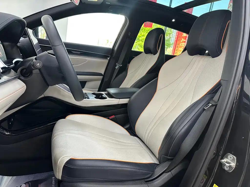 BYD PLUS New Energy 2024 — фото 15