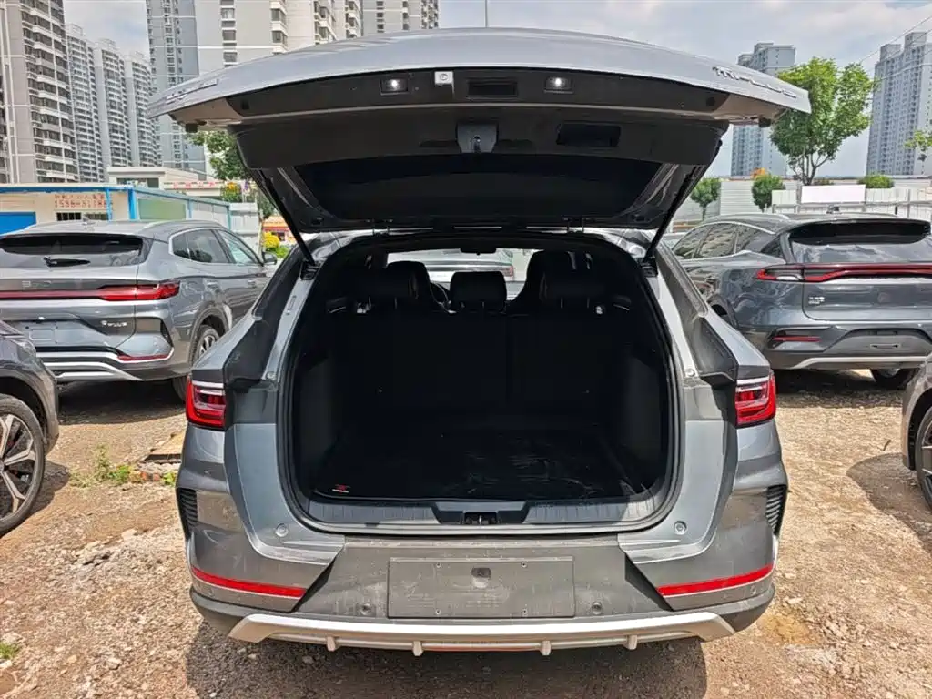 BYD PLUS New Energy 2022 — фото 19