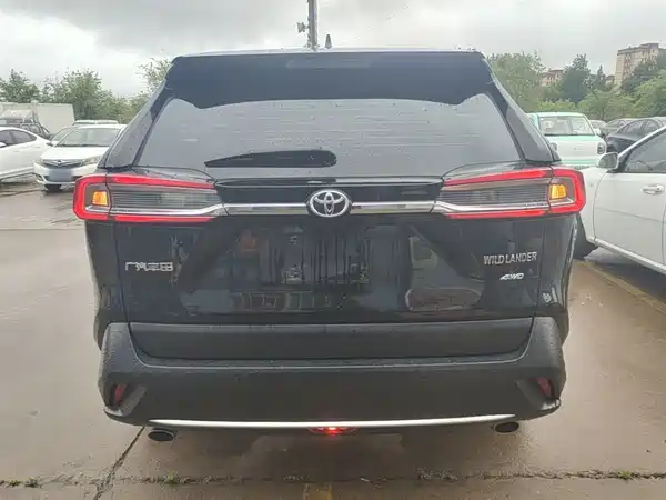 Toyota Wildlander 2020