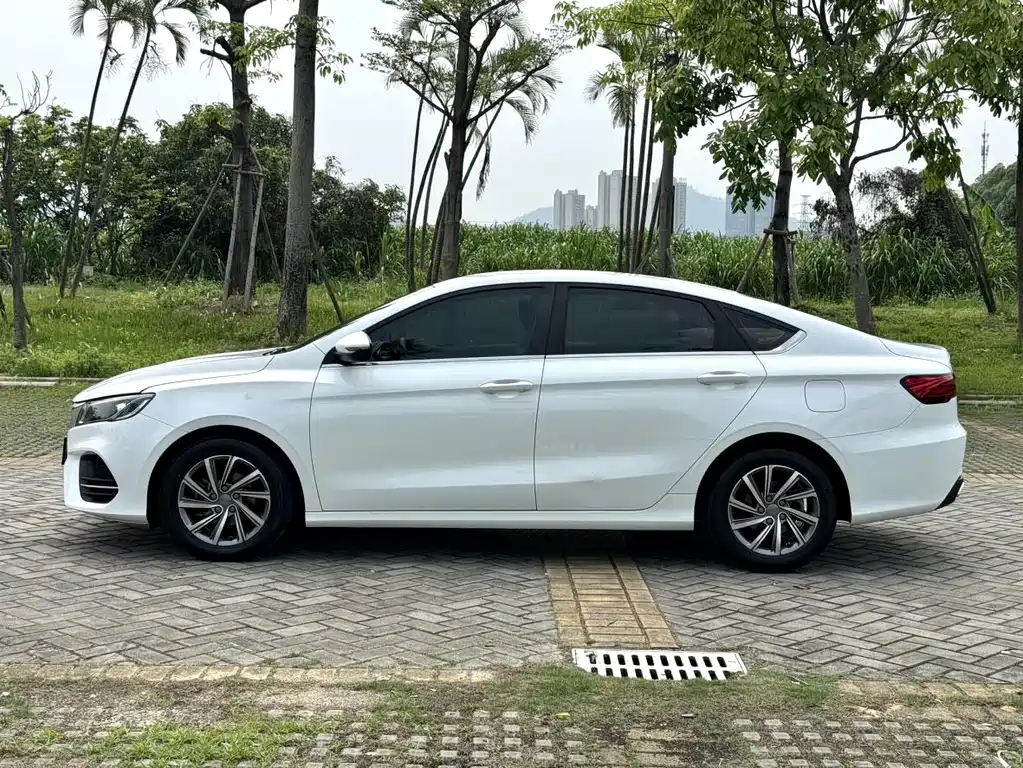 Geely Binrui 2020 — фото 10