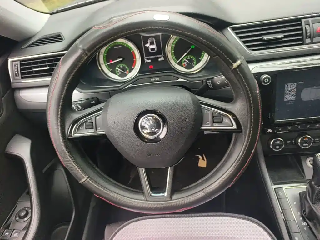 Skoda Speedy 2017