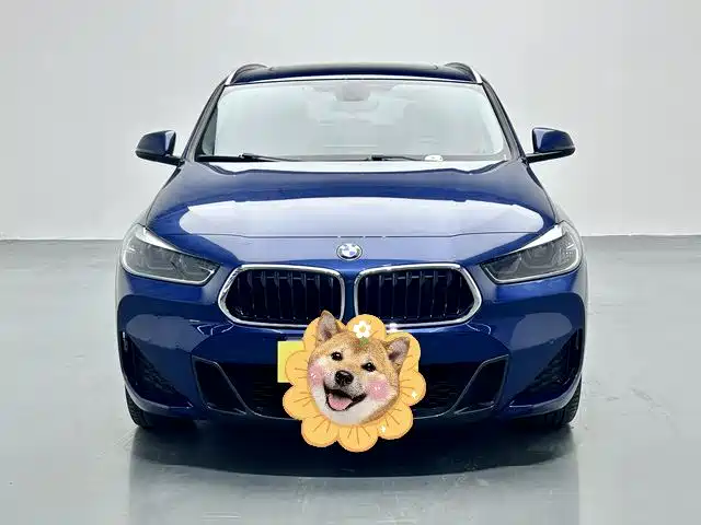 BMW X2 2022