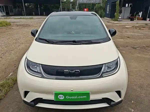 BYD Dolphin 2024