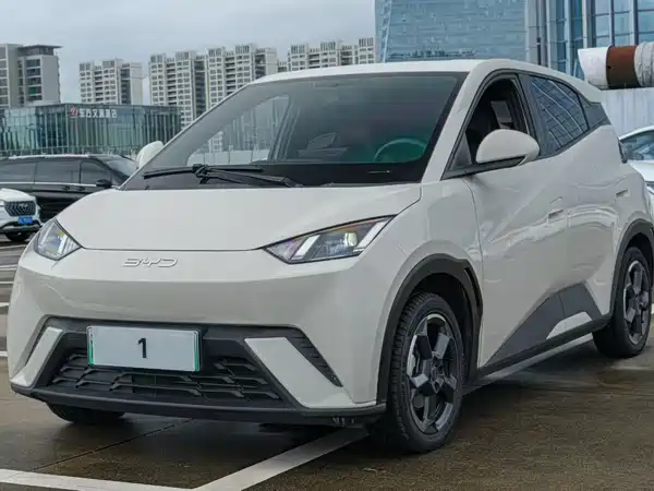 BYD Seagull 2024