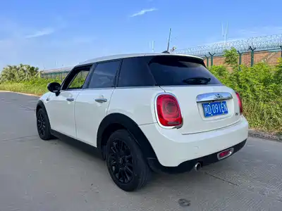 MINI MINI 2019