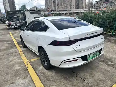 BYD Qin PLUS 2021