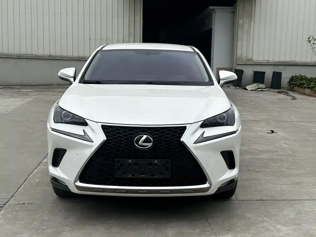 Lexus NX 2021 — фото 6