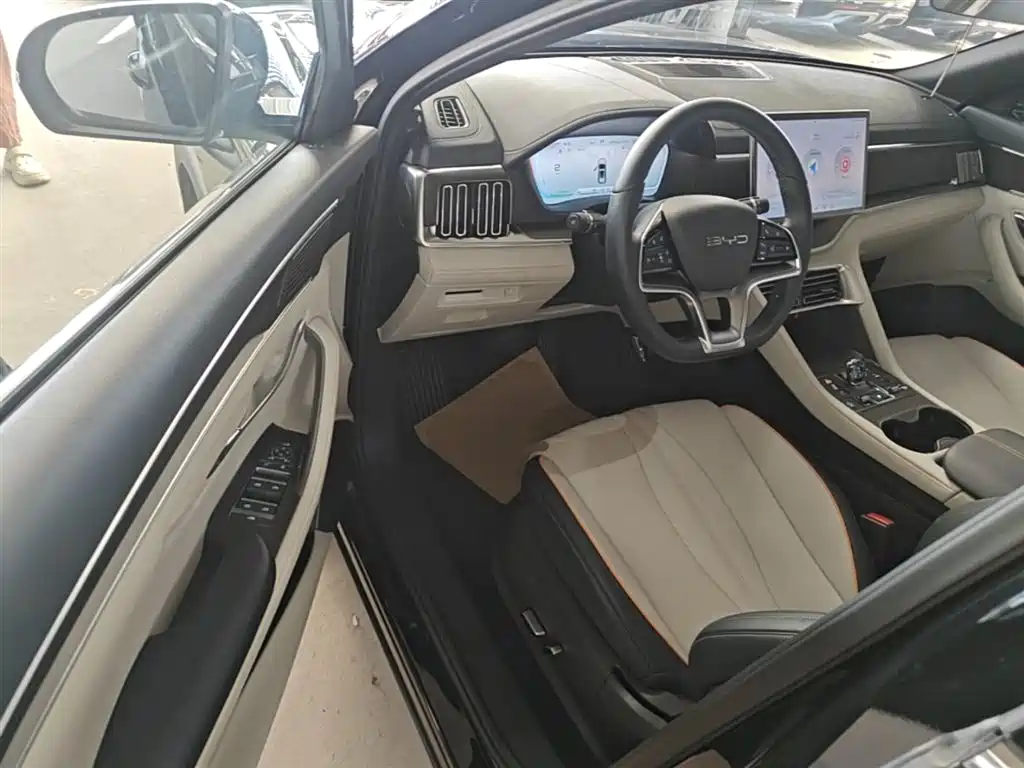 BYD PLUS New Energy 2024 — фото 16