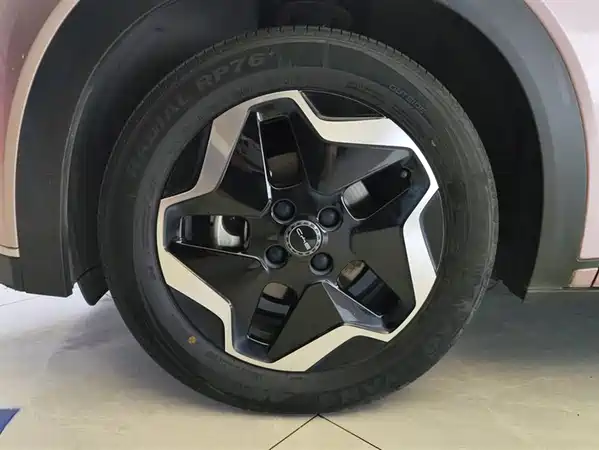 BYD Dolphin 2022