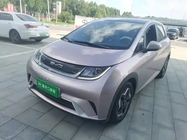 BYD Dolphin 2022