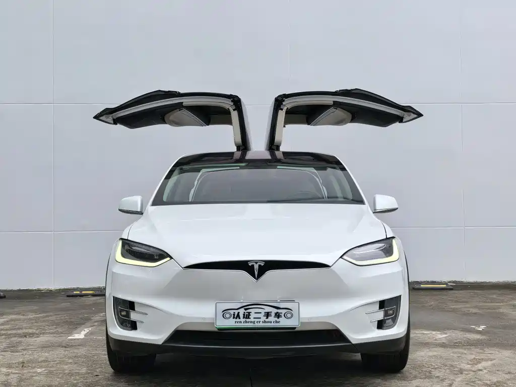 Tesla Model X 2018 — фото 2