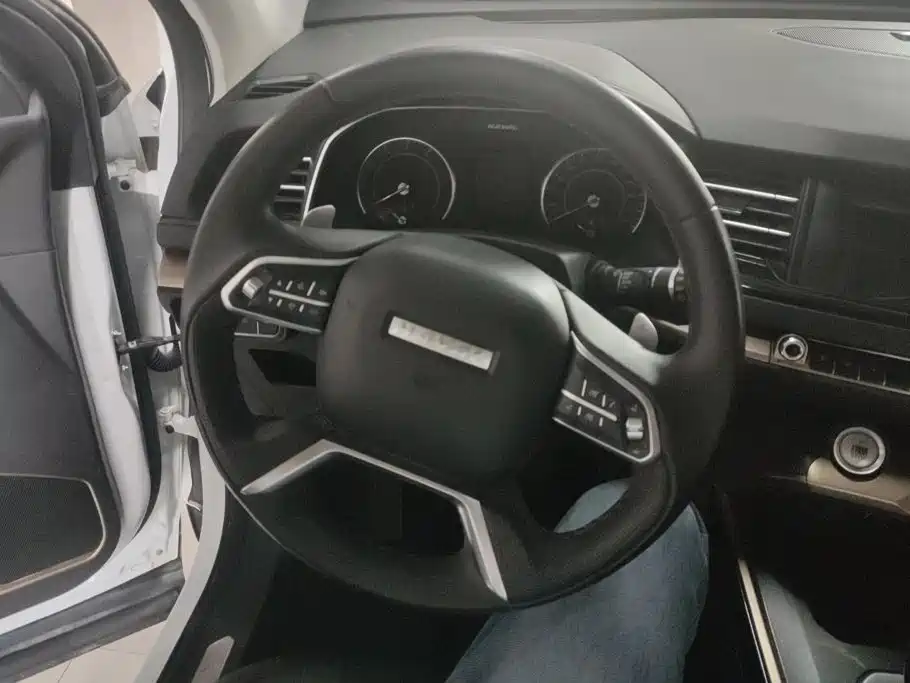Haval H6 2020 — фото 15