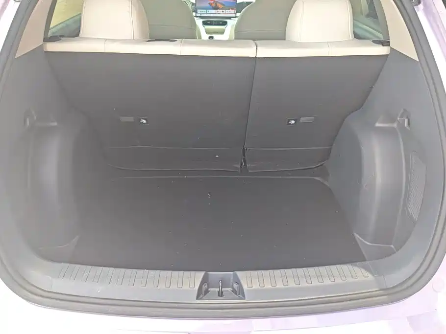 Geely Galaxy Starwish 2025 — фото 4