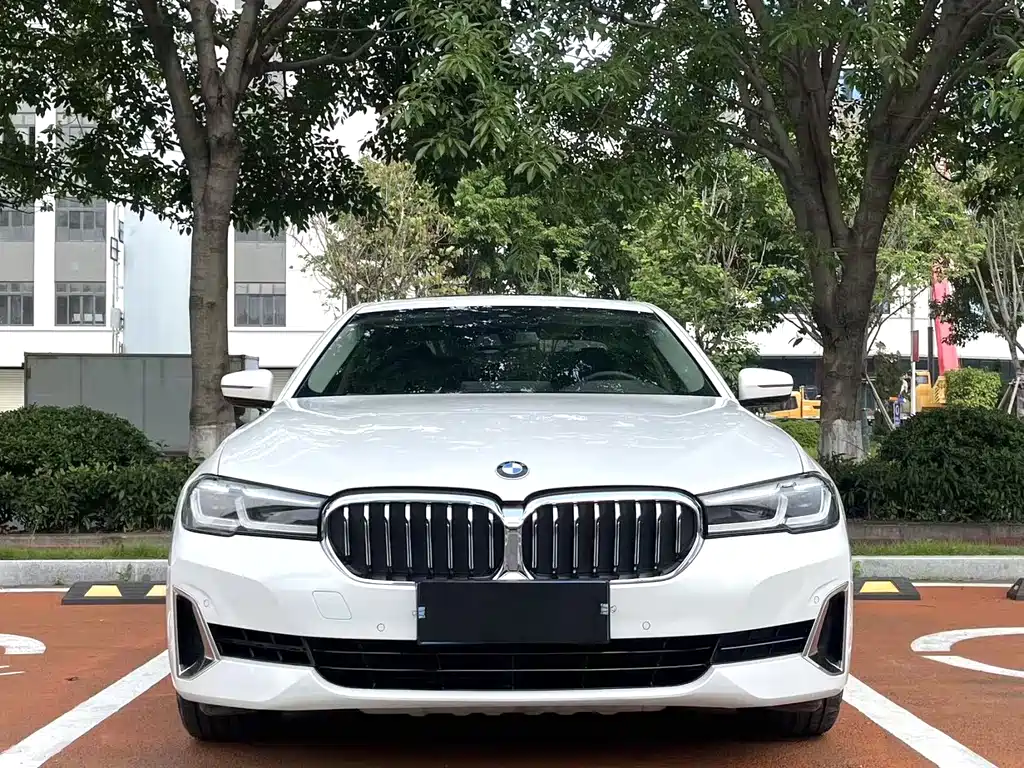 BMW 5 Series 2021