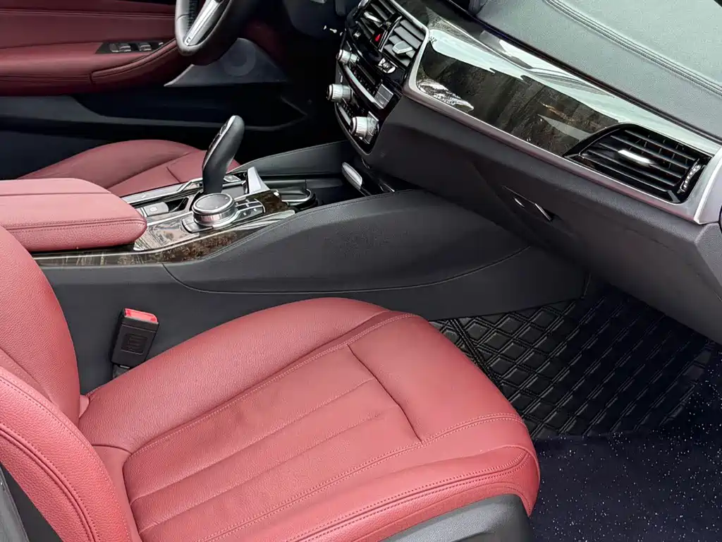 BMW 5 Series 2019