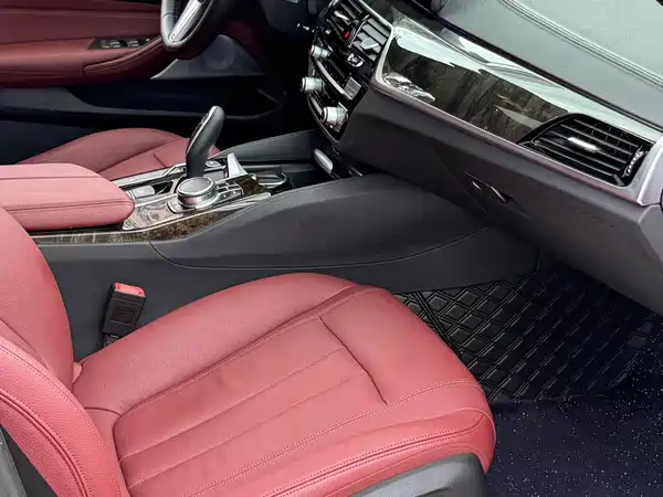 BMW 5 Series 2019