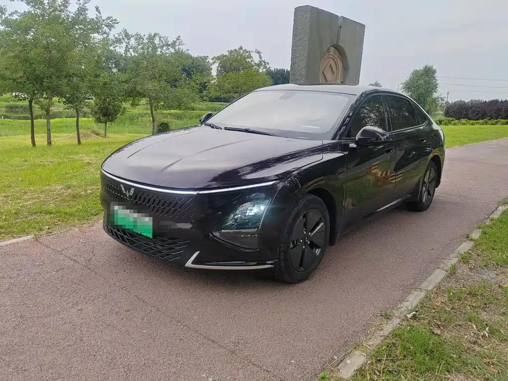 Wuling Xingguang 2024