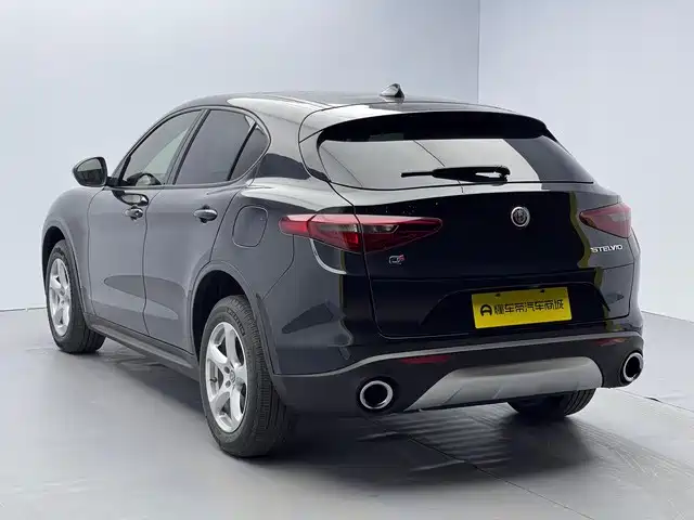 Alfa Romeo Stelvio 2019 — фото 6