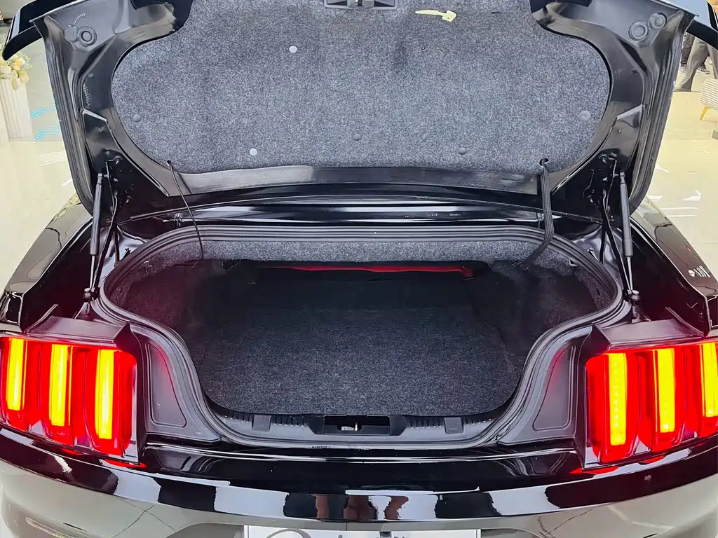 Ford Mustang 2018 — фото 10