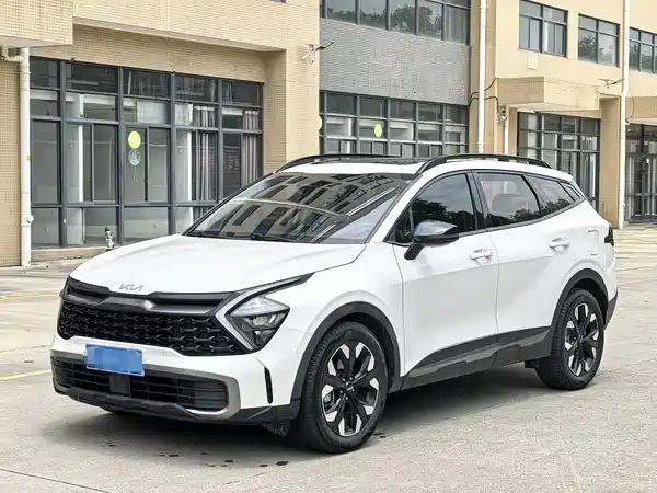 Kia Lion Platinum Expands The Boundary 2023
