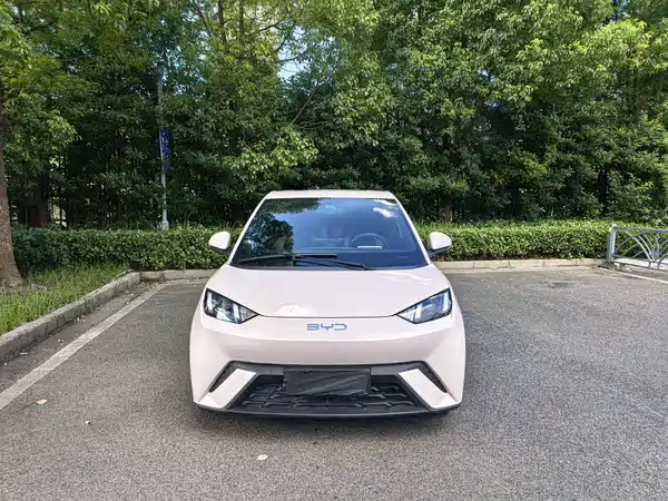 BYD Seagull 2024