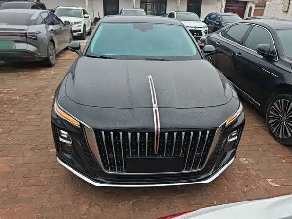 Hongqi H5 2024