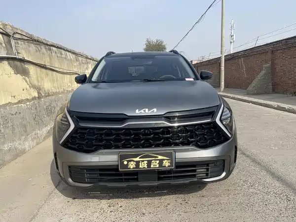 Kia Lion Platinum Expands The Boundary 2023