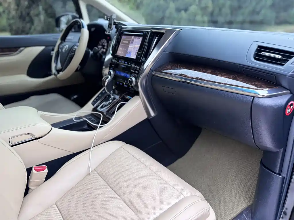 Toyota Alphard 2019 — фото 12