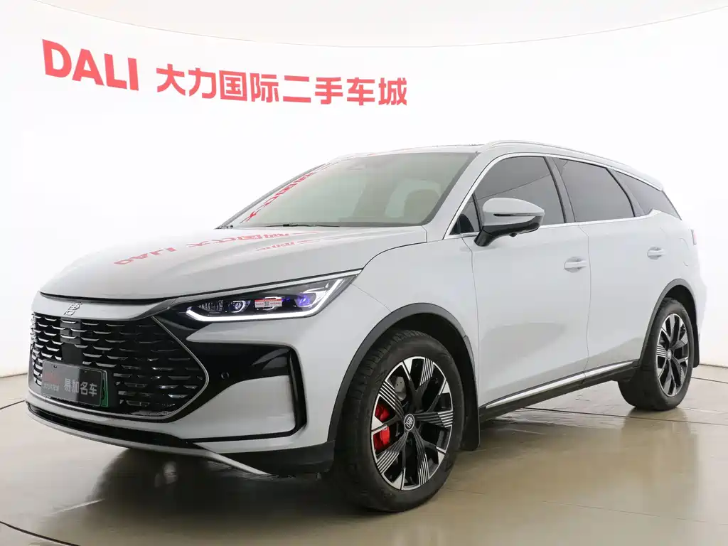 BYD Tang New Energy 2023 — фото 1