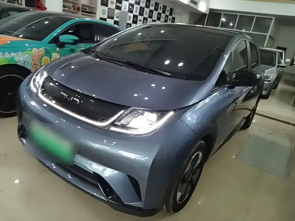 BYD Dolphin 2024